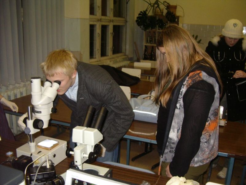 embryotehn08090015.jpg