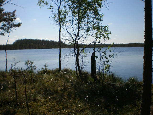 P6010757.JPG