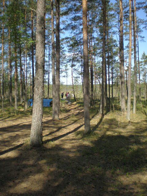 P6010760.JPG