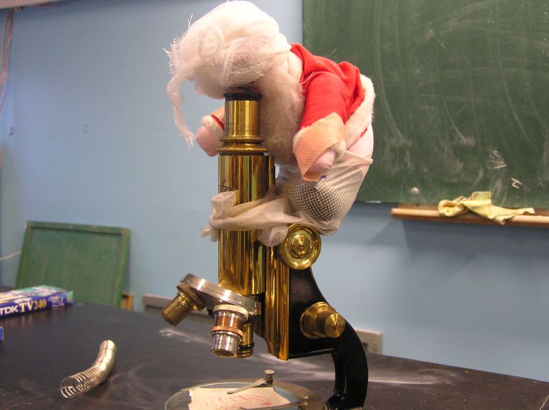 2008_kaunistused30.jpg
