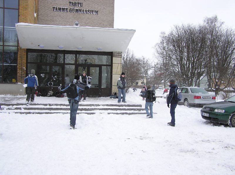 lumi-8.jpg