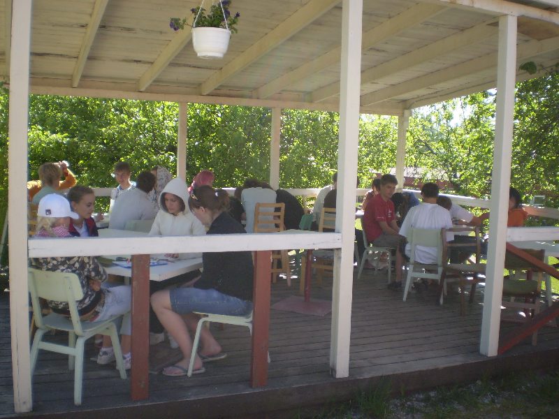 madsa-6030049.jpg