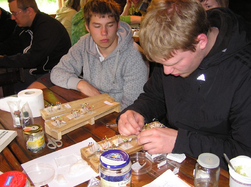 2008-pahni-46.jpg