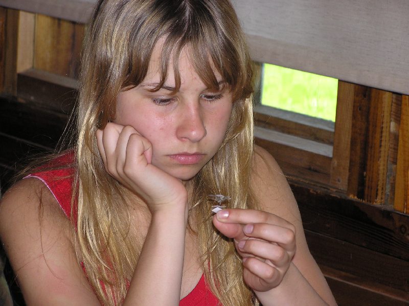 2008-pahni-82.jpg