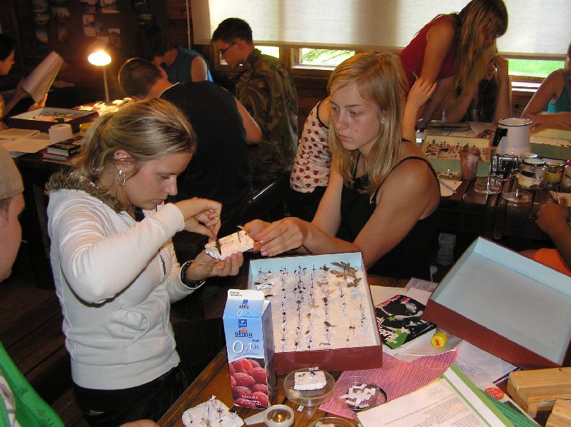 2008-pahni-84.jpg