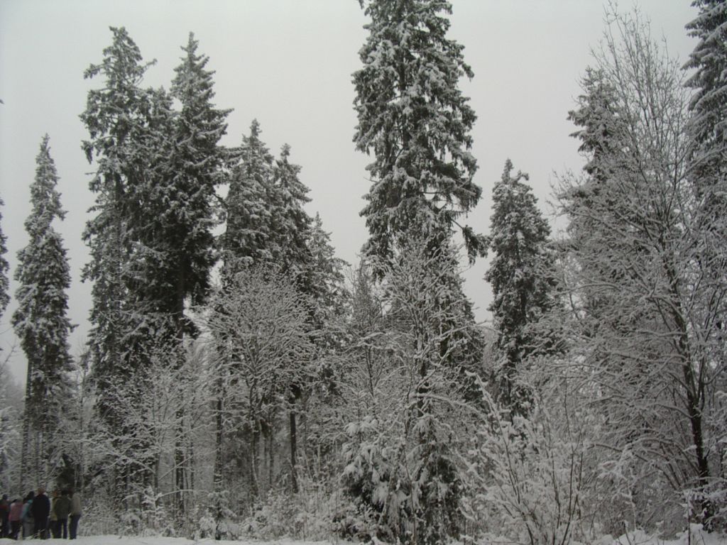 pungaprax080030.jpg
