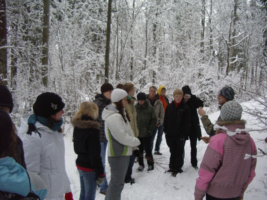 pungaprax080036.jpg
