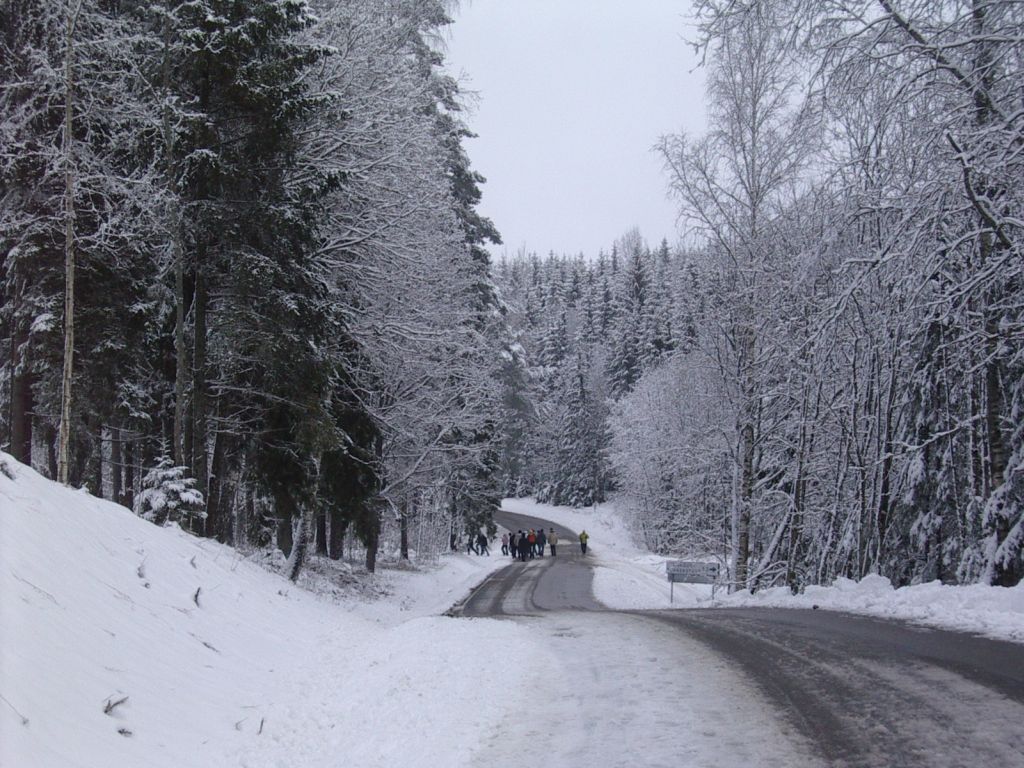pungaprax080042.jpg