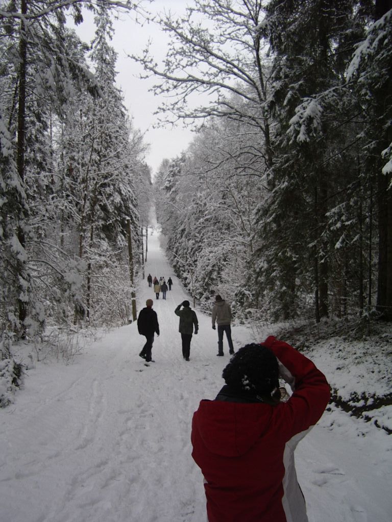 pungaprax080048.jpg