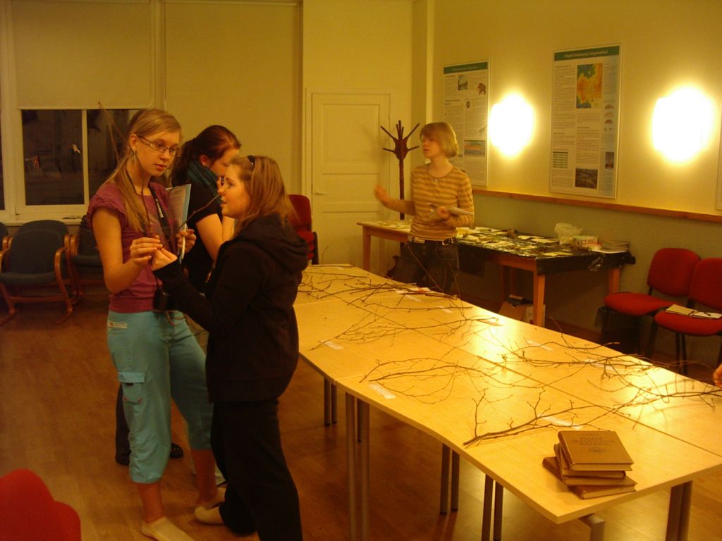 pungaprax080056.jpg