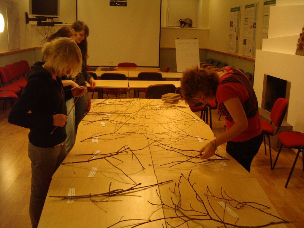 pungaprax080059.jpg