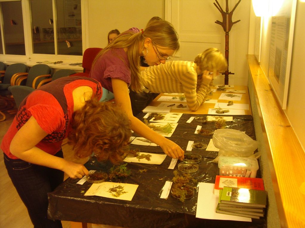 pungaprax080065.jpg