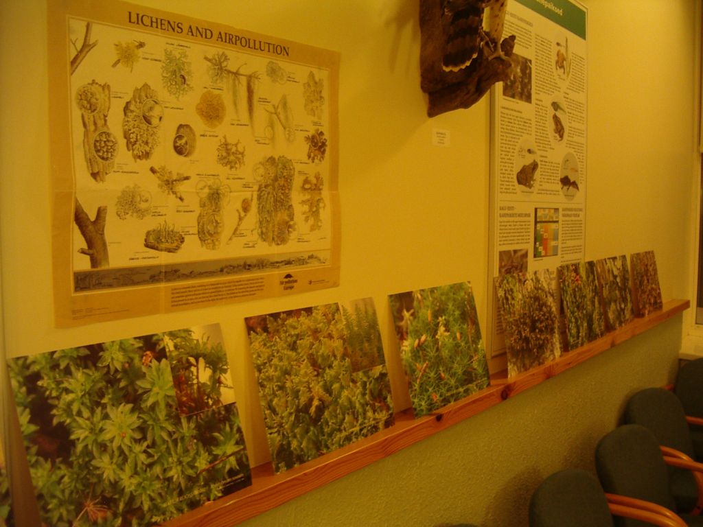 pungaprax080066.jpg