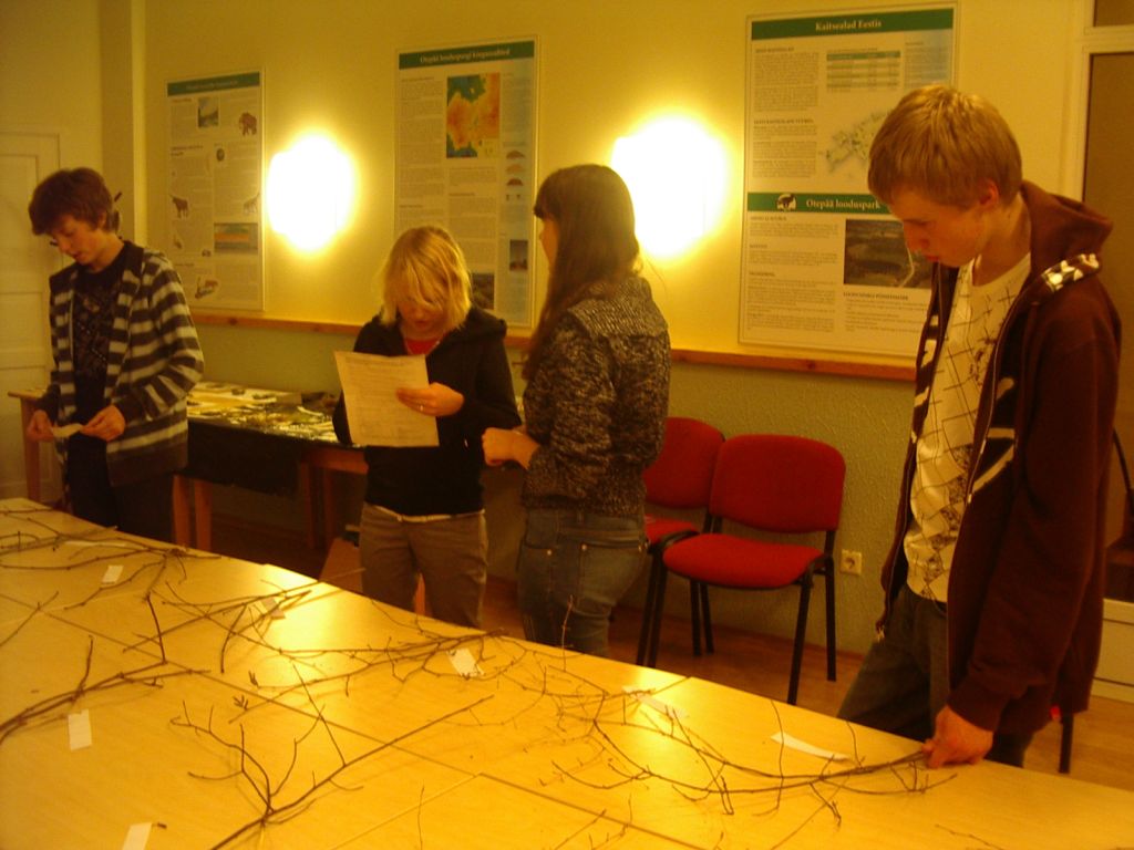 pungaprax080069.jpg