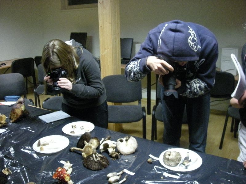 DSCN1155.JPG