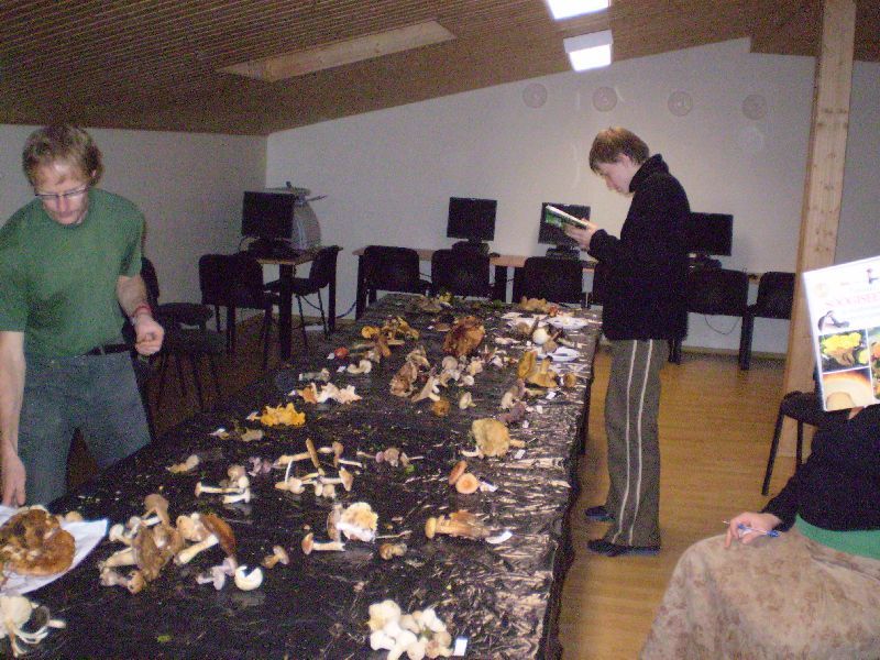 P1010056.JPG