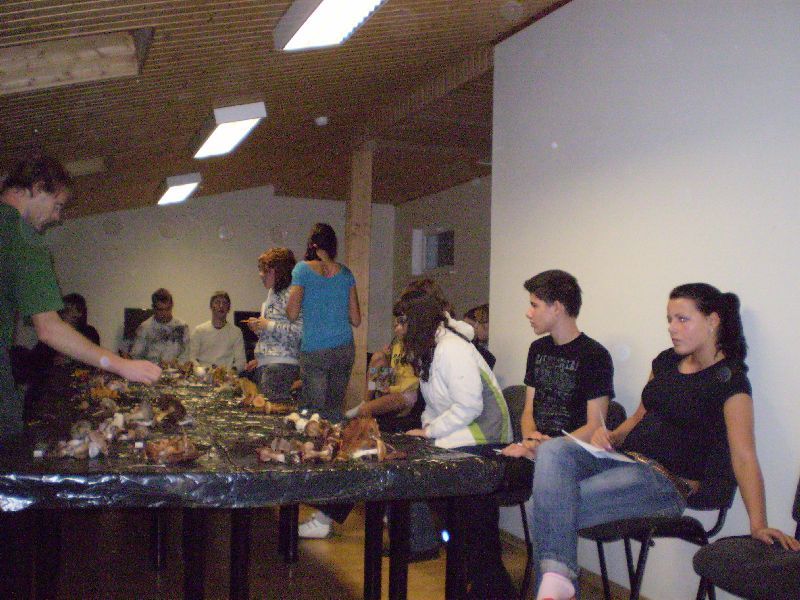 P1010061.JPG