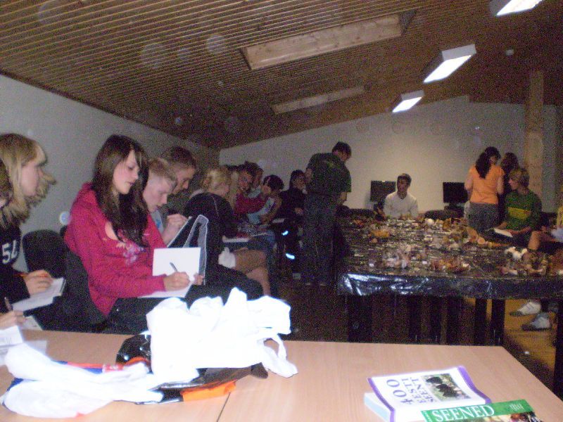 P1010064.JPG