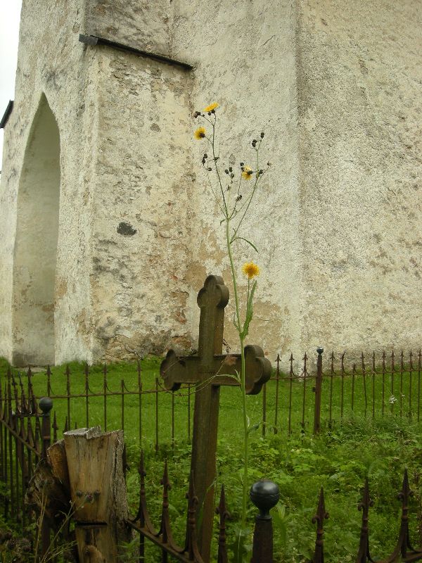 DSCN1042.JPG