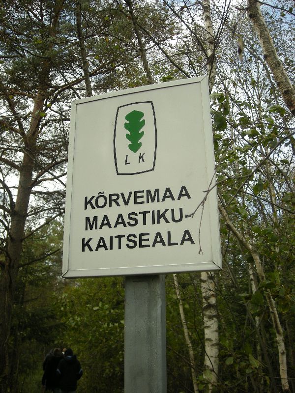 DSCN1045.JPG