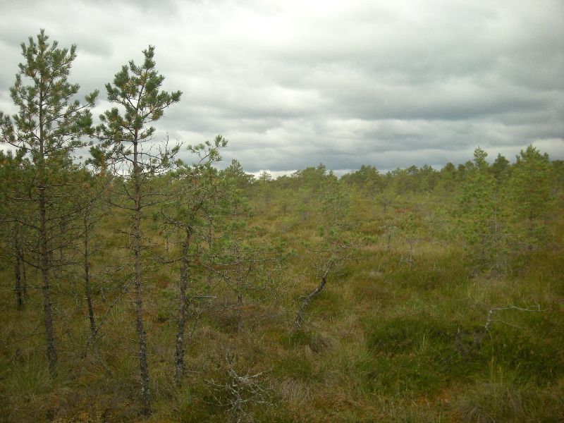 DSCN1047.JPG