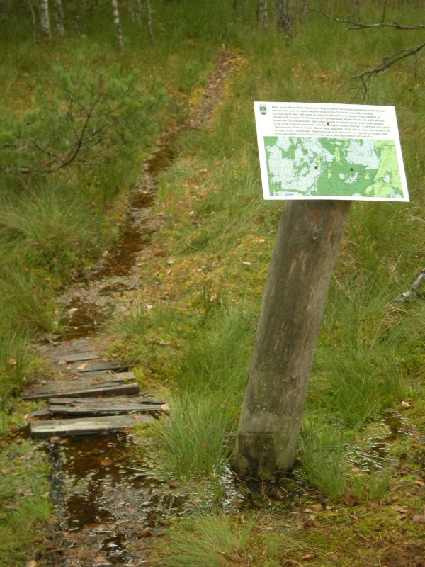 DSCN1048.JPG