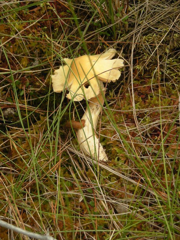 DSCN1049.JPG