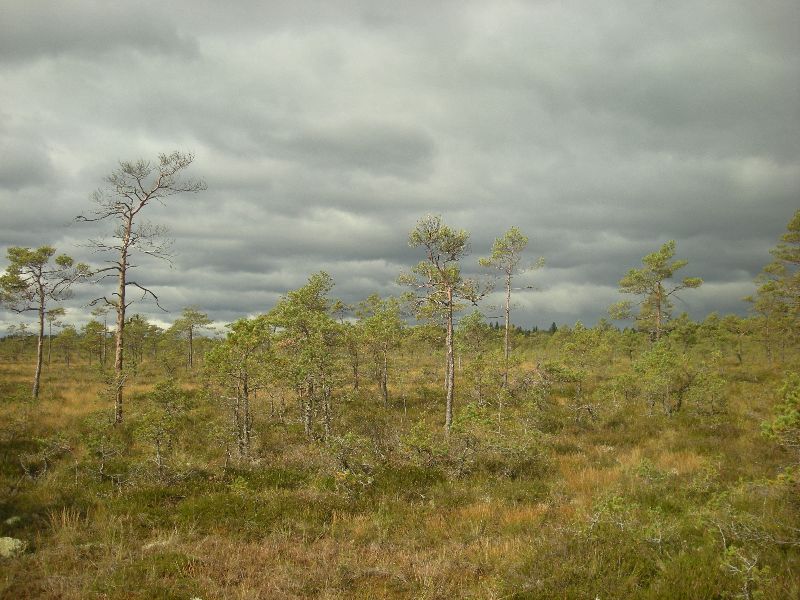 DSCN1051.JPG