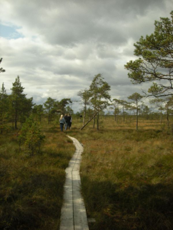 DSCN1052.JPG