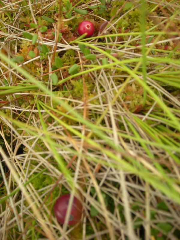 DSCN1053.JPG
