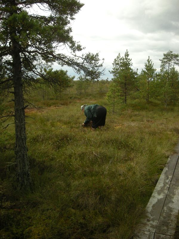 DSCN1054.JPG