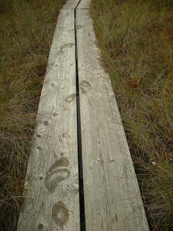 DSCN1059.JPG