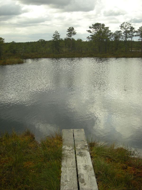 DSCN1063.JPG