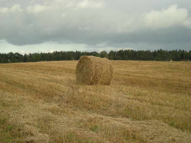 DSCN1073.JPG