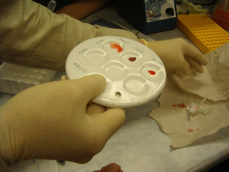 0910bioteh10c005.jpg