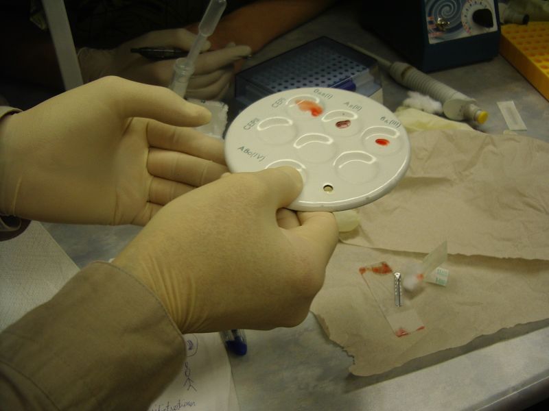 0910bioteh10c007.jpg