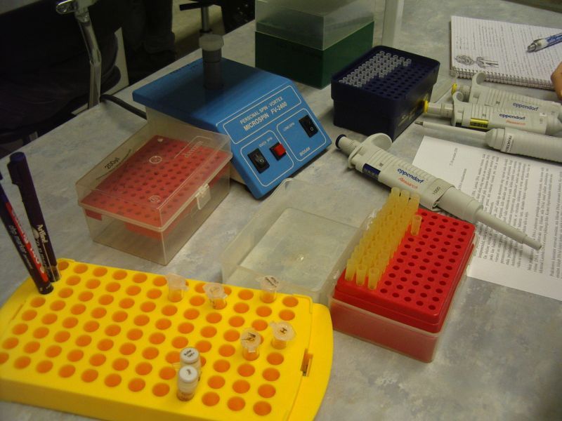 0910bioteh10c017.jpg