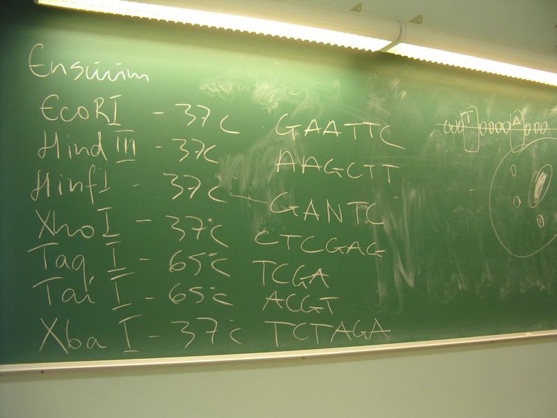 0910bioteh10c021.jpg
