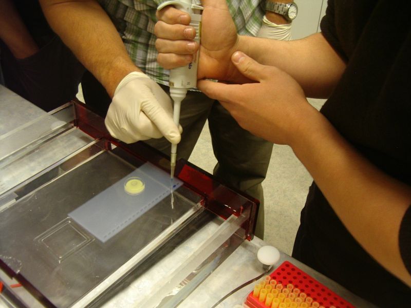 0910bioteh10c022.jpg