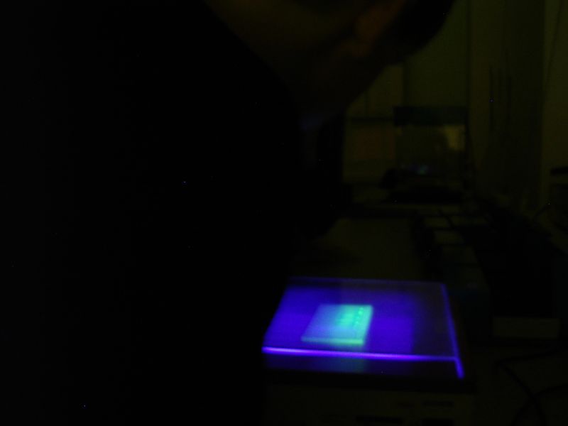0910bioteh10c028.jpg