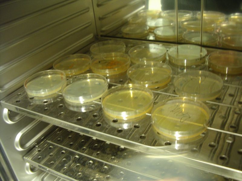 0910bioteh10c031.jpg