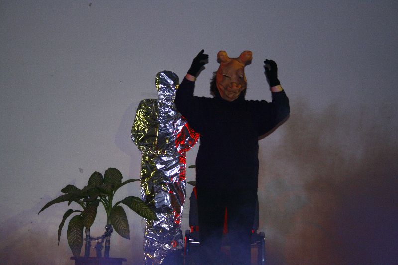255.jpg