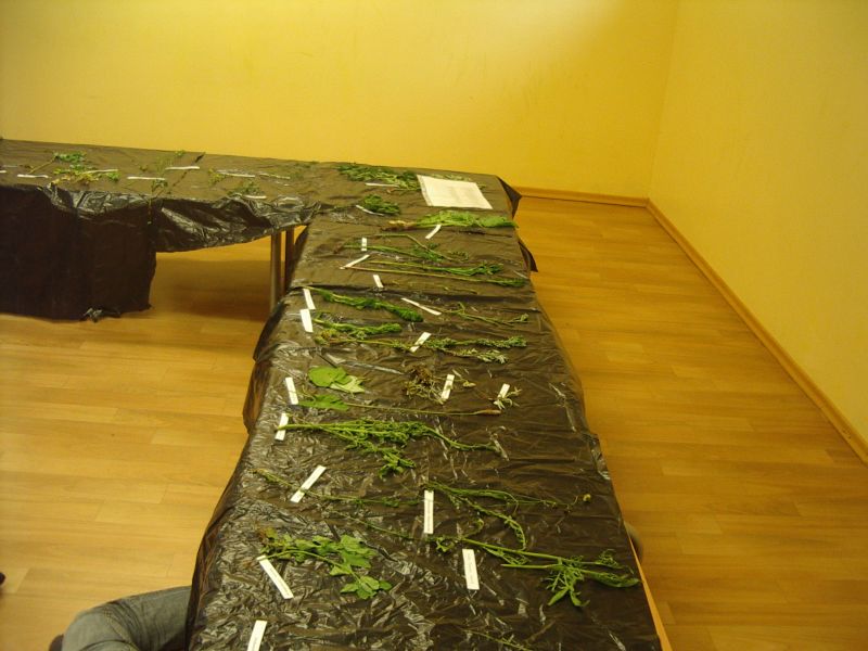bot_zool0809_Misso006.jpg