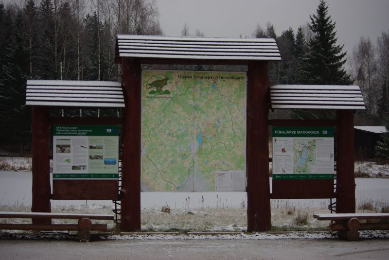 0910punga024.jpg