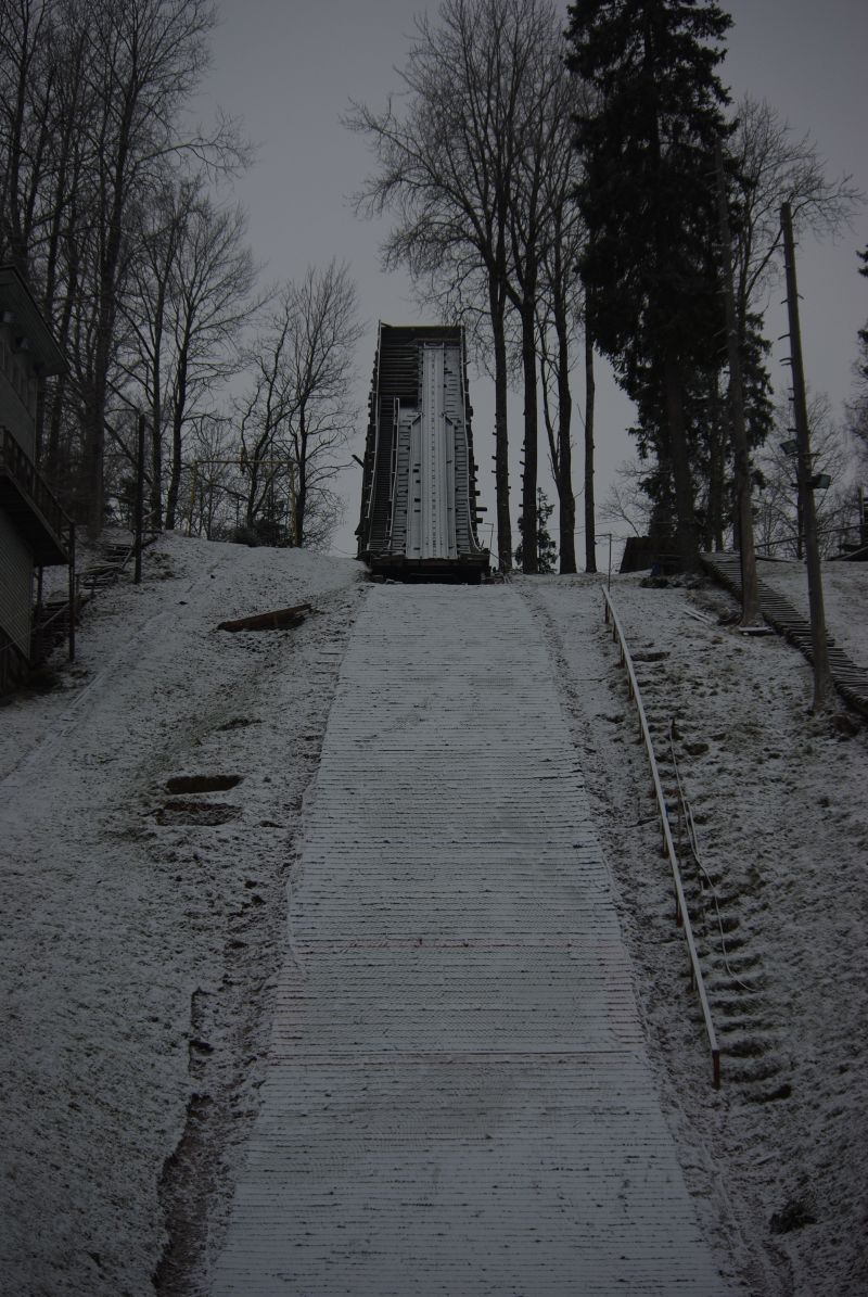 0910punga044.jpg