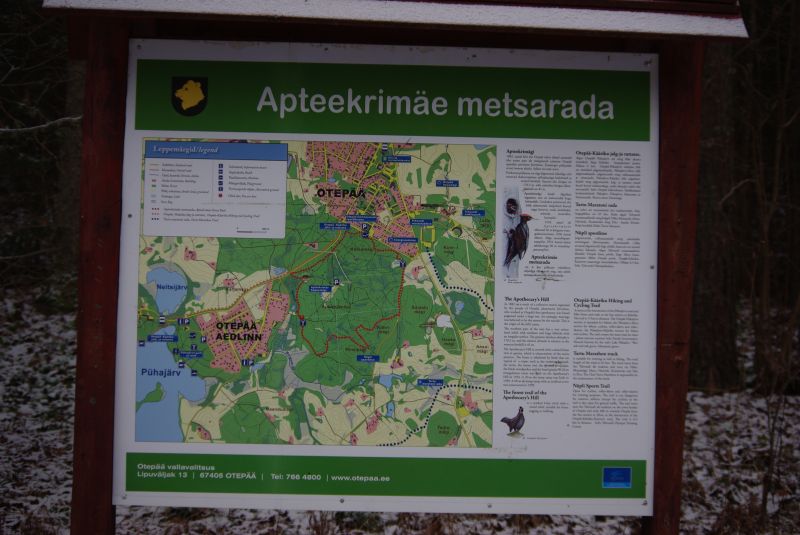 0910punga089.jpg