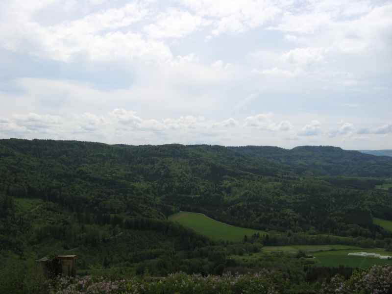 IMG_9534.JPG