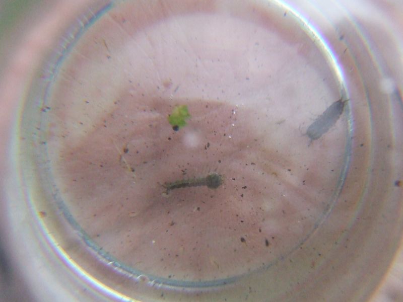DSCF3719.JPG