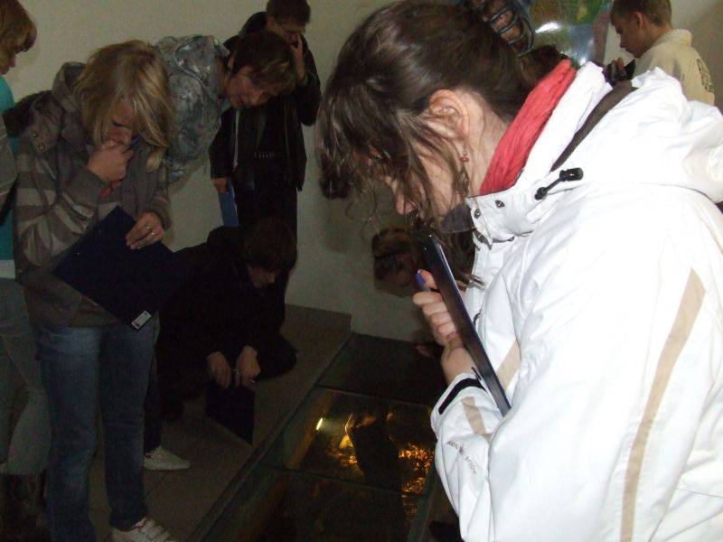 DSCF3772.JPG