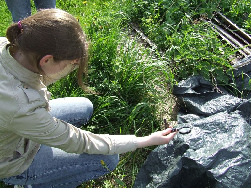 DSCF1430.JPG